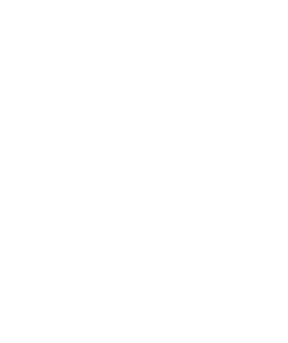 Kerala Spurs logo white